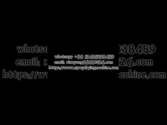 GMP Certified Dryer: Zero Dead Corners for Food & Pharma