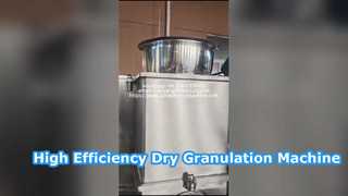 Industrial Roller Compactor for Powder Processing